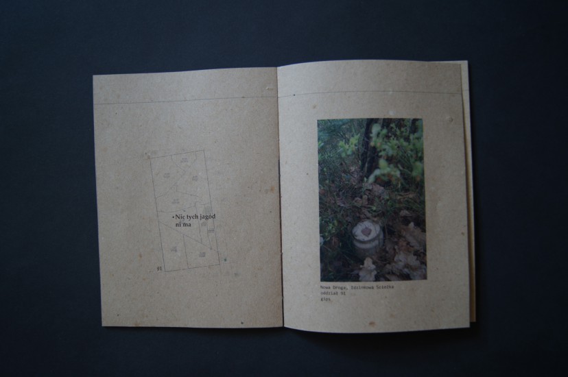 Summer, artistic book | 21x14cm